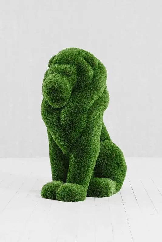 Load image into Gallery viewer, Topiary Lion Small 4 Marin Backyards