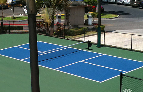 Load image into Gallery viewer, Pickleball Court Kit 2