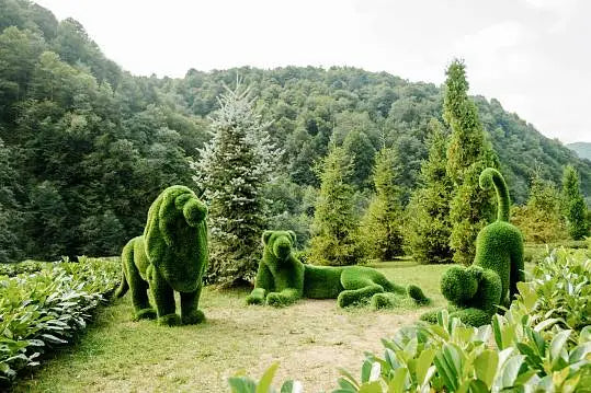 Load image into Gallery viewer, Topiary Standing Lion
