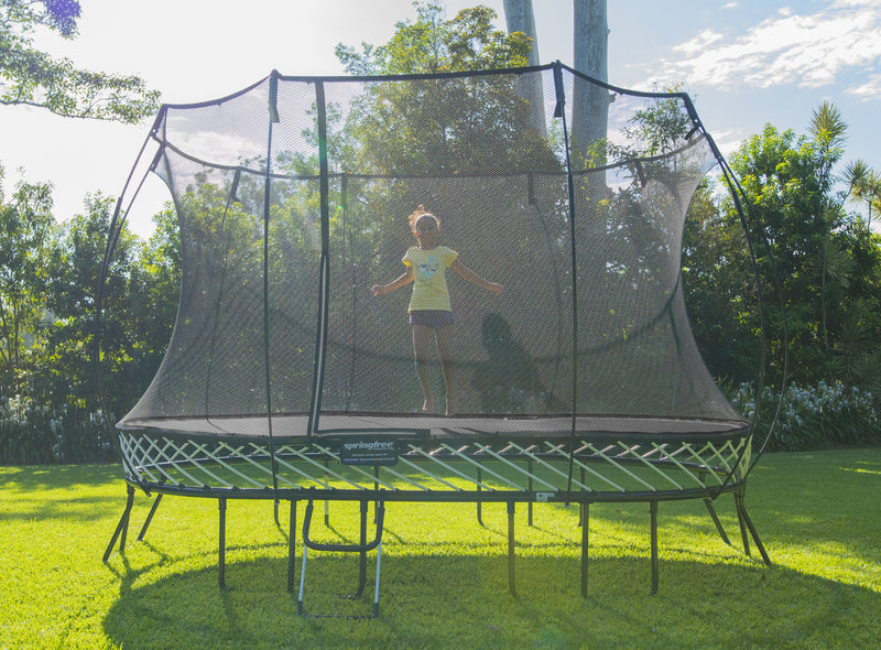 Load image into Gallery viewer, springfree large oval trampoline
