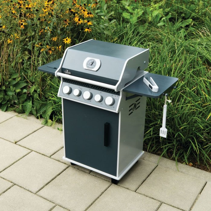 Load image into Gallery viewer, Mini Napoleon BBQ for kids
