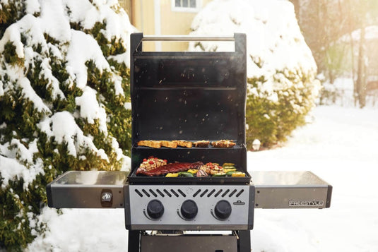 Freestyle 365 Gas Grill