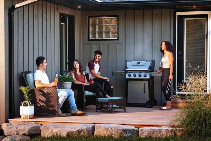 Load image into Gallery viewer, Freestyle 425 Gas Grill
