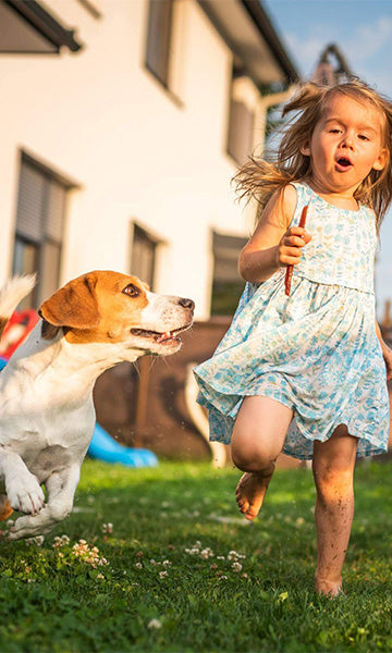 We help you build a park in your own backyard
