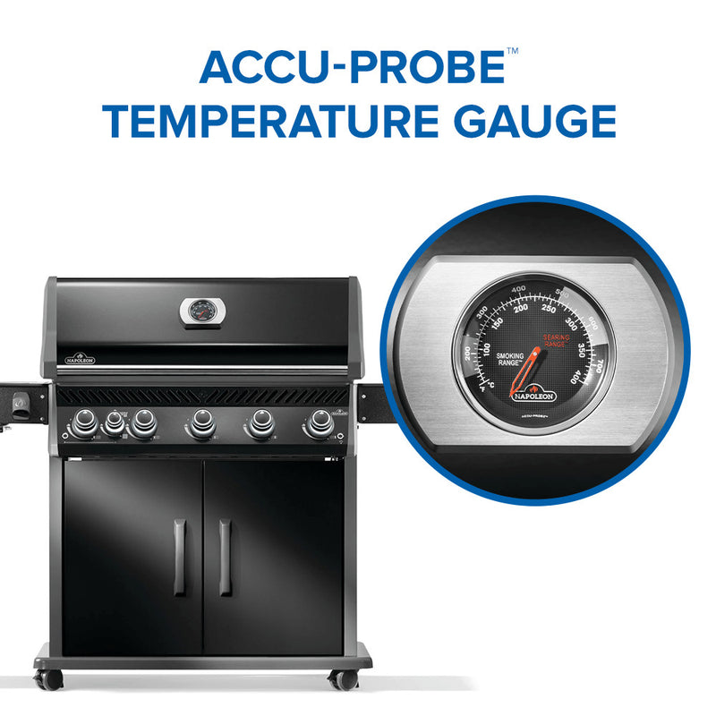 Load image into Gallery viewer, Rogue® PRO 625 SIB with Infrared Side Burner Black
