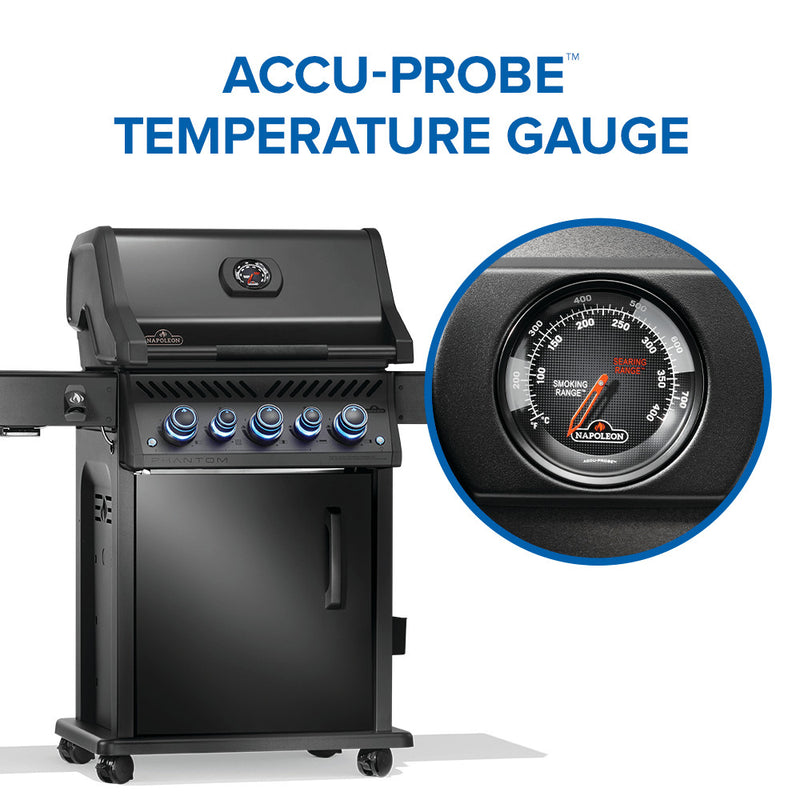 Load image into Gallery viewer, Phantom Rogue® PRO-S 425 RSIB with Infrared Side and Rear Burner

