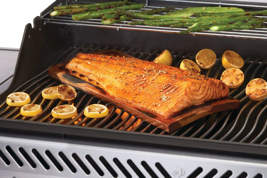 Rogue® PRO 625 SIB 6