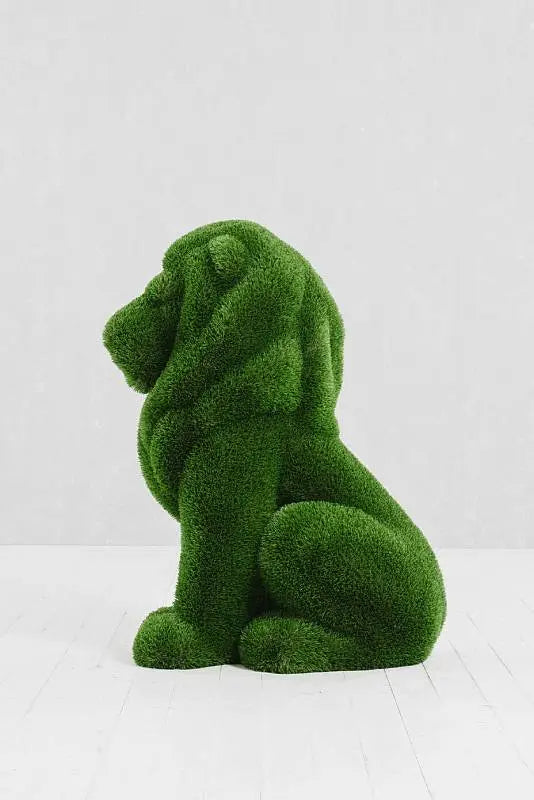 Topiary Lion Small 3 Marin Backyards