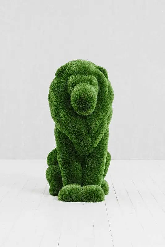 Load image into Gallery viewer, Topiary Lion Small 5 Marin Backyards
