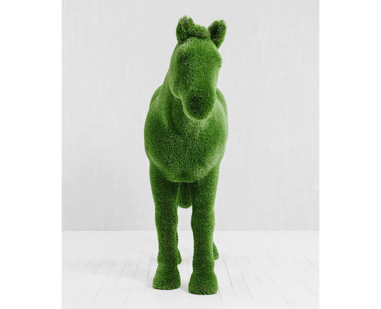 Topiary Horse