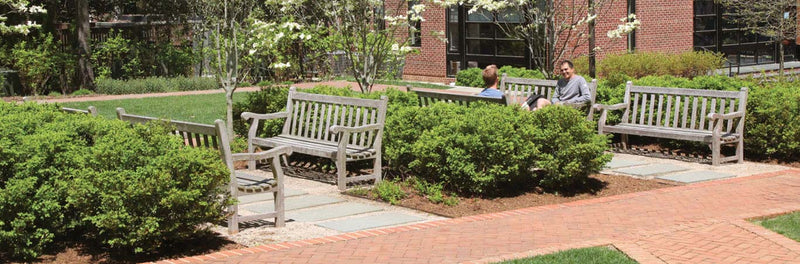 Load image into Gallery viewer, Medium Teak Bench Restoration Service Marin Backyards Lifestyle
